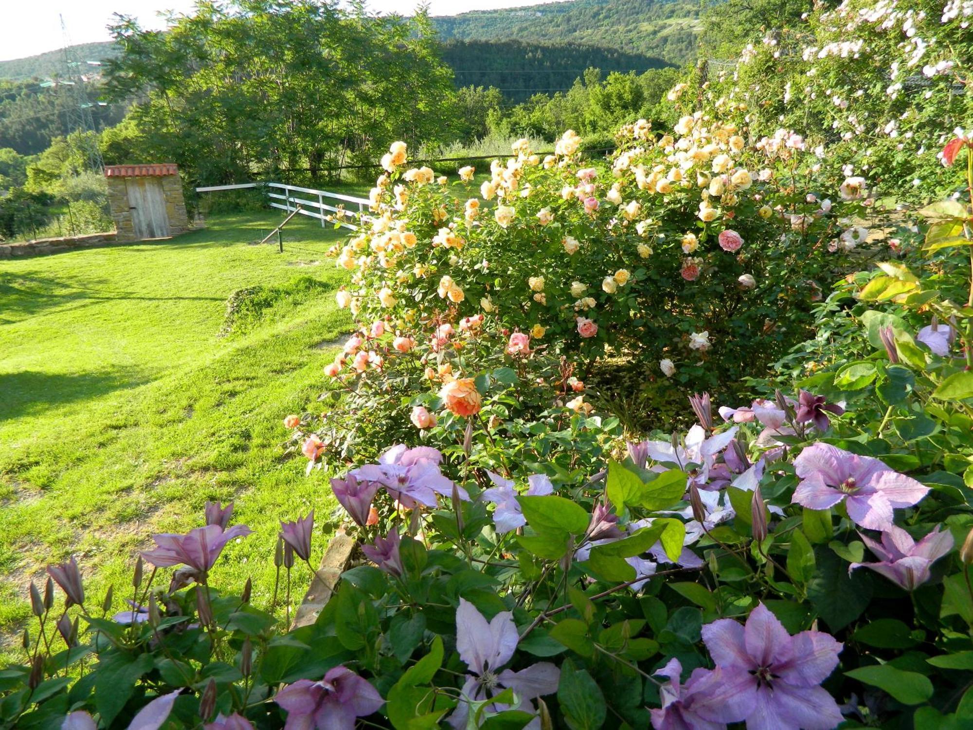 Appartamento The Hug Of Nature Dekani