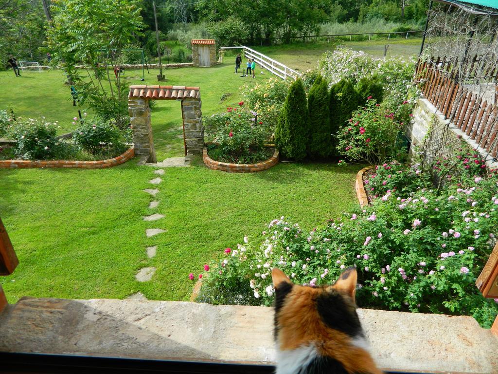 Appartamento The Hug Of Nature