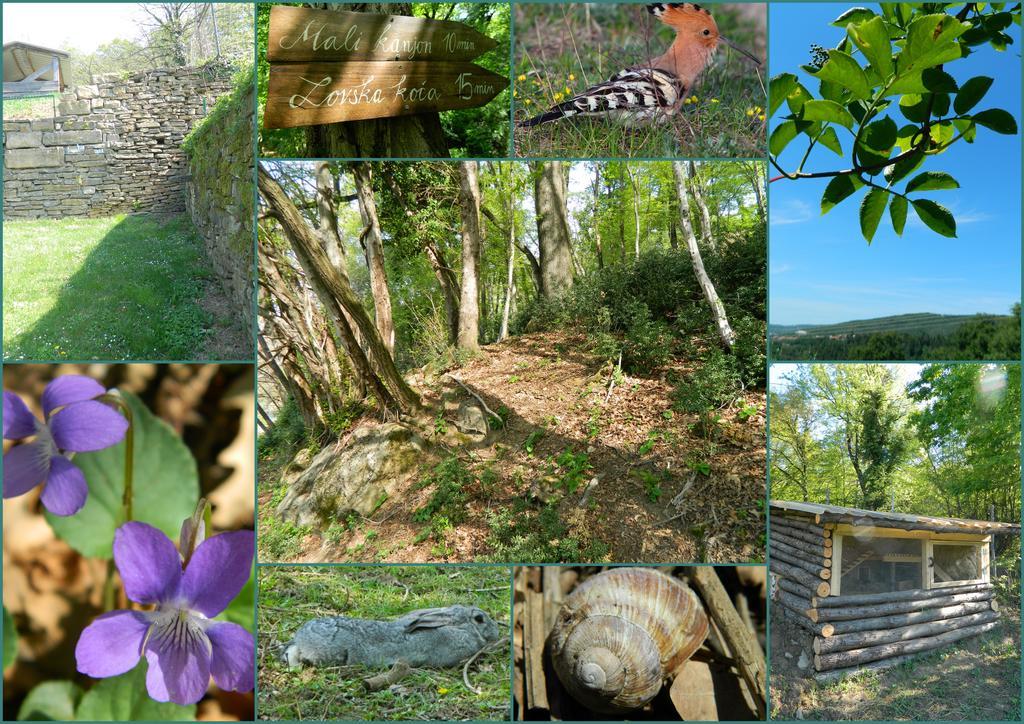 Appartamento The Hug Of Nature Dekani